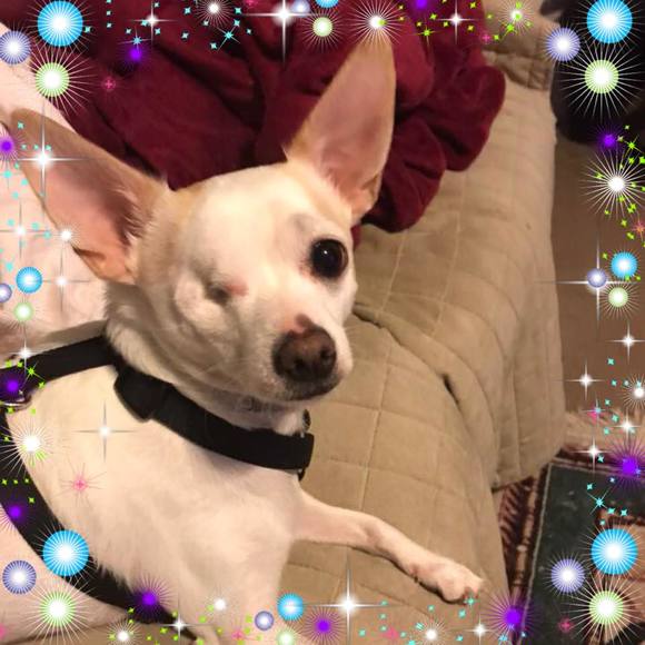 Poshmark profile picture for @widowed
